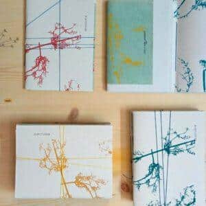 Erbacciaro al finocchio