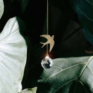 Lichtfänger Golondrina