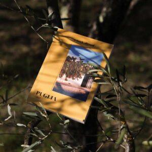 A Week Abroad - Puglia